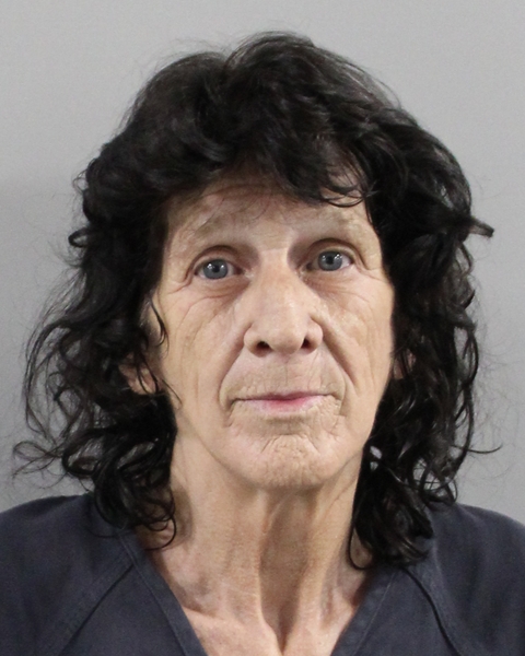Booking photo of Dianne Letchworth-gedz