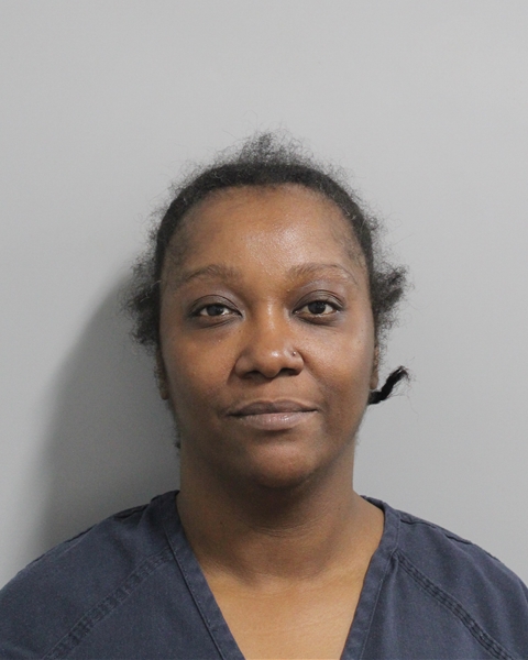 Booking photo of Nickie Westberry