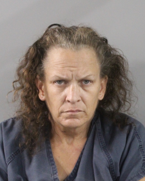 Booking photo of Julie Norris