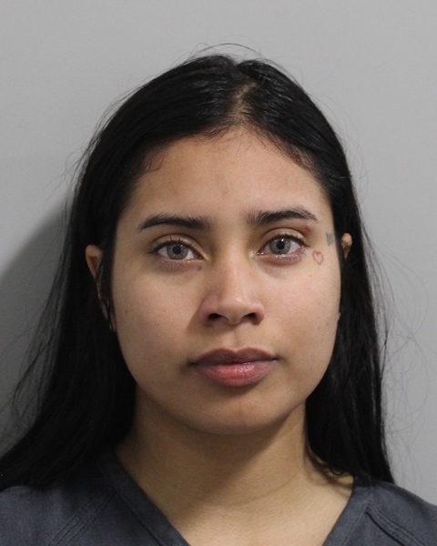 Booking photo of Tairianis Gonzalez Cerro