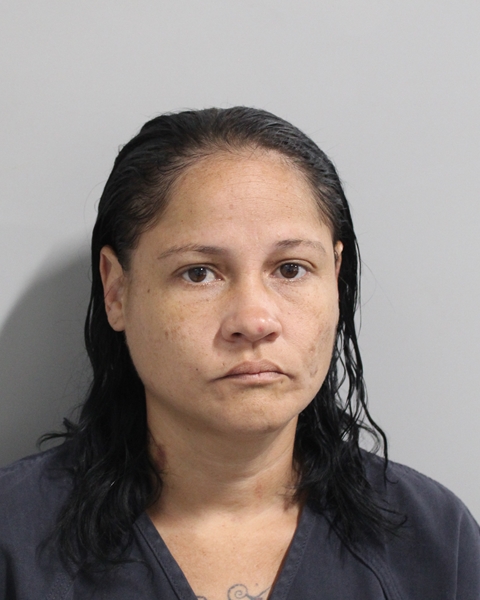 Booking photo of Iris Soria