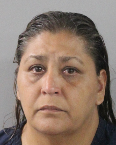 Booking photo of Crystal Briseno