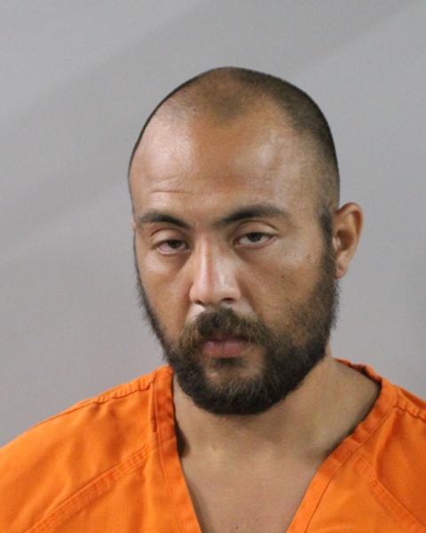 Booking photo of Brandon Schofield