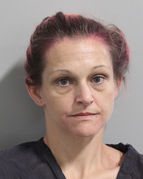 Booking photo of Brittany Cribbs