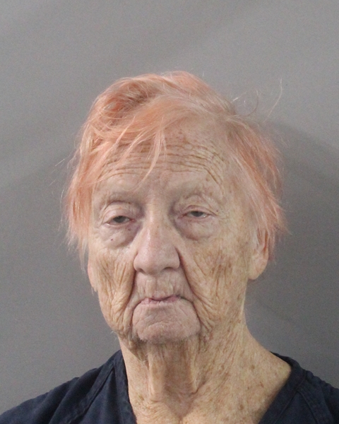 Sandra Rinaldi Colvin booking photo