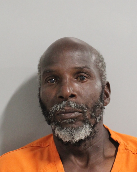 Booking photo of Wallis Steward