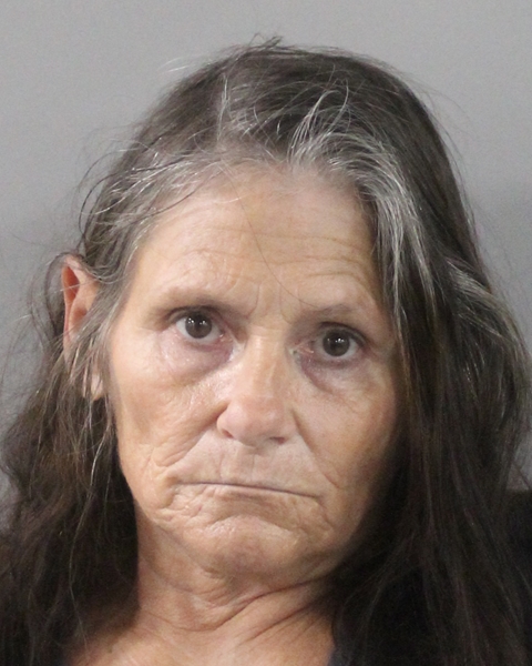 Tina Lamb booking photo