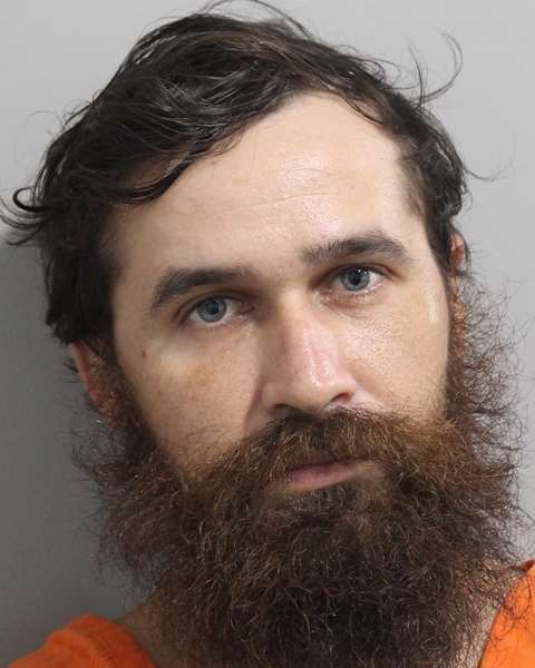 Jonathan Lang booking photo