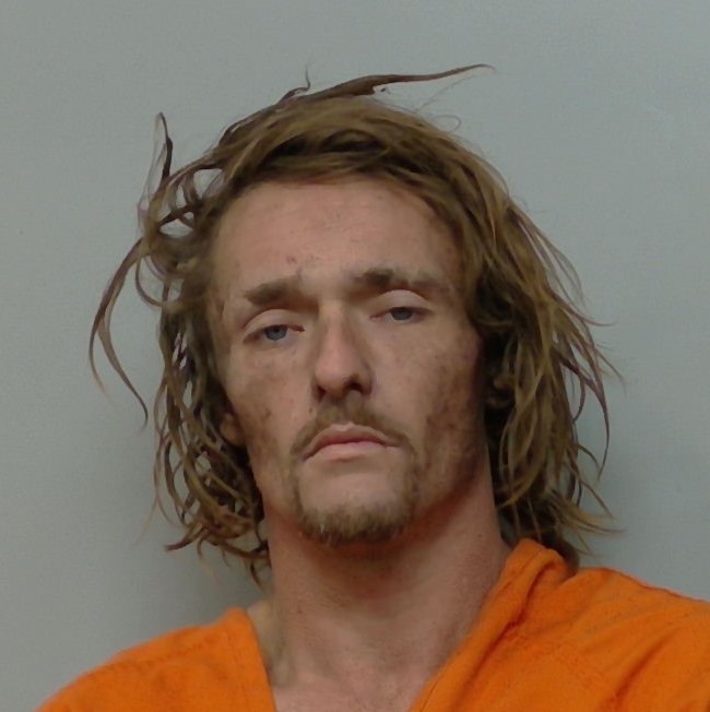 Booking photo of James Mcelwee