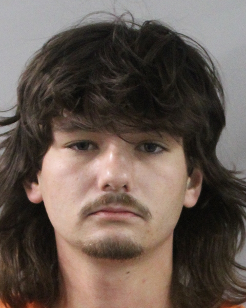 Booking photo of Robert Dawson