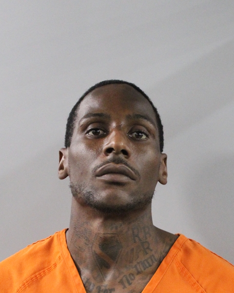 Booking photo of Lilauthor Nixon