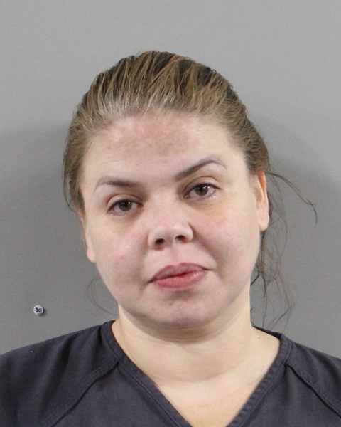 Booking photo of Rosa Hernandez