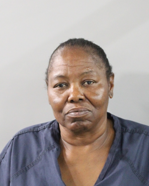 Booking photo of Orsolida Wiley