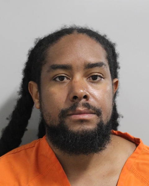 Brandon Cesar booking photo