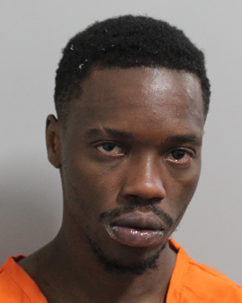 Booking photo of Serge Nombre
