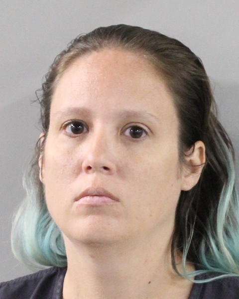 Booking photo of Amanda Lane