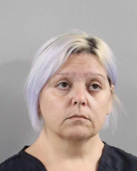 Booking photo of Nicole Gaudioso