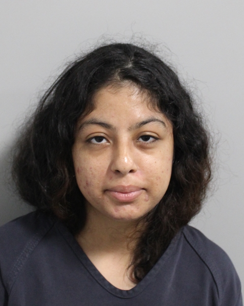 Booking photo of Elissa Malave