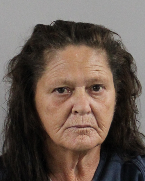 Booking photo of Bonnie Lynn