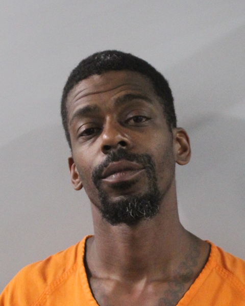 Booking photo of Micai Hayes
