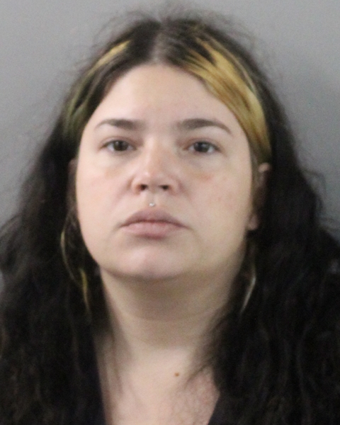 Booking photo of Tamara Torres Bonet