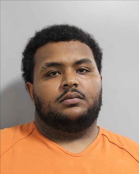Booking photo of Yassin Safwat