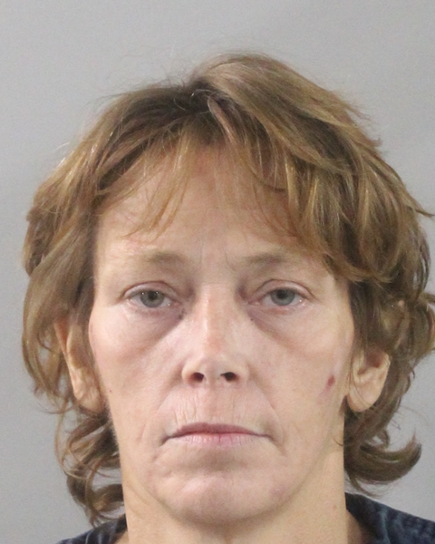Booking photo of Lisa Wilson