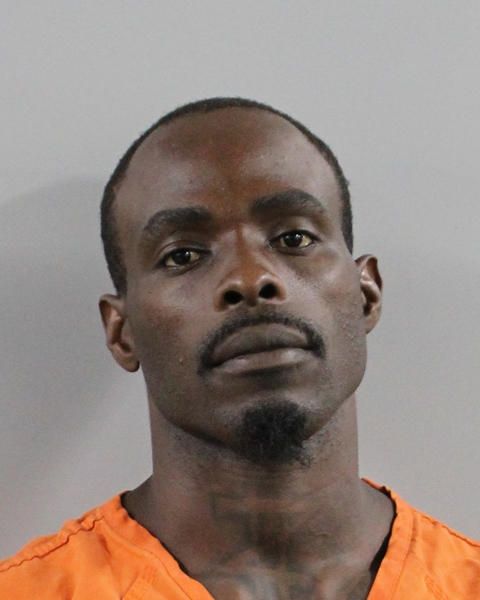 Booking photo of Jacques Dalmas