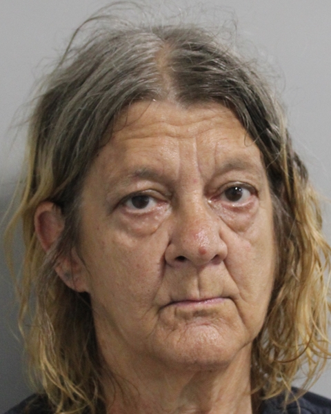 Booking photo of Deedra Mcclelland