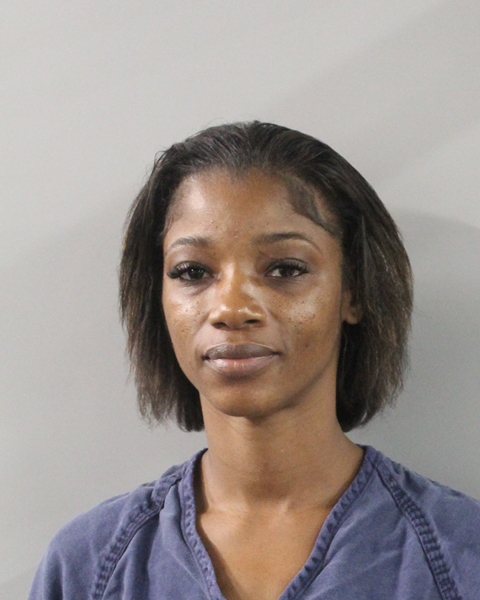Booking photo of Brittney Alls