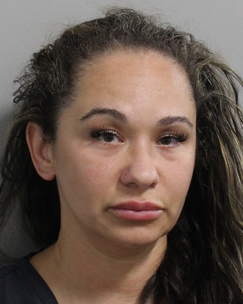 Tessa Lysak booking photo
