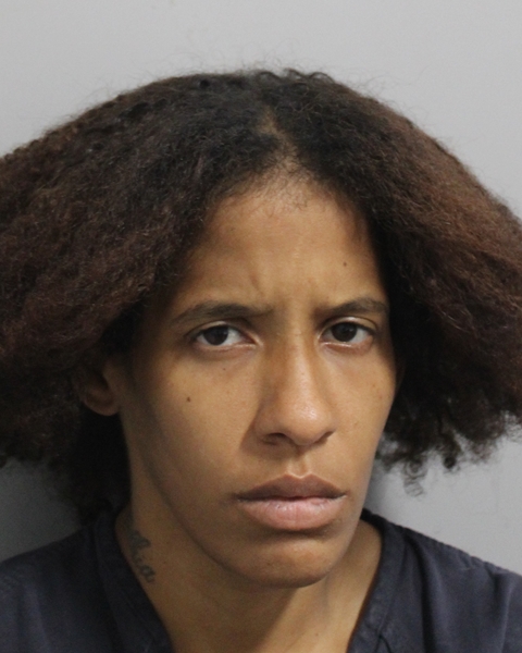 Jeannette Smith booking photo