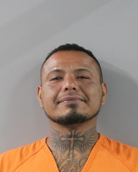 Booking photo of Cristobal Maldonado