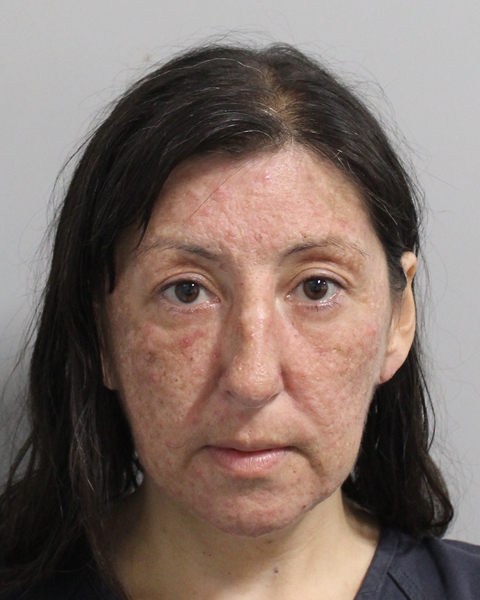 Booking photo of Theresa Villatoro