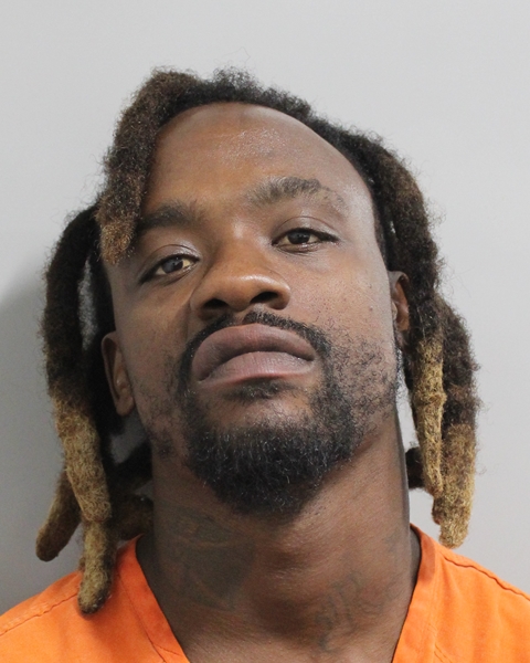 Booking photo of Raphael Yon