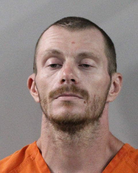 Booking photo of Levi Vertner