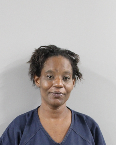 Booking photo of Tiffany Mitchell