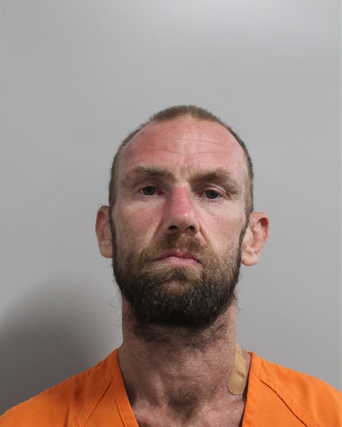 Booking photo of Wayne Martin