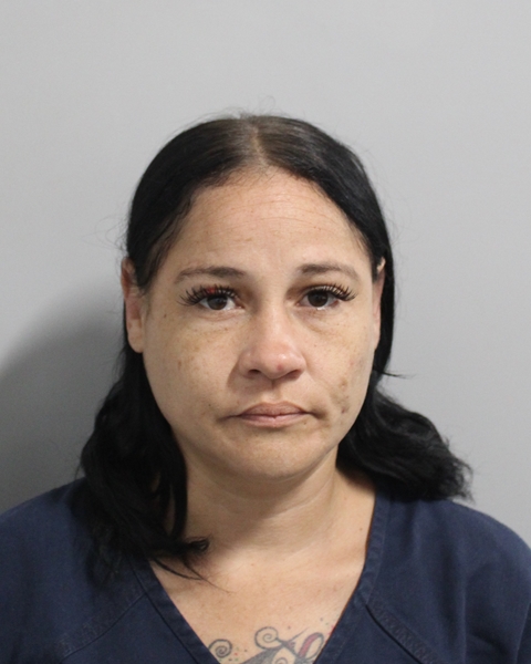 Iris Soria booking photo