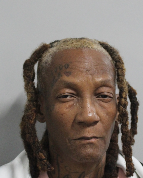 Booking photo of Susan Kellum