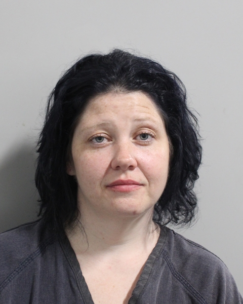 Booking photo of Amanda Bain