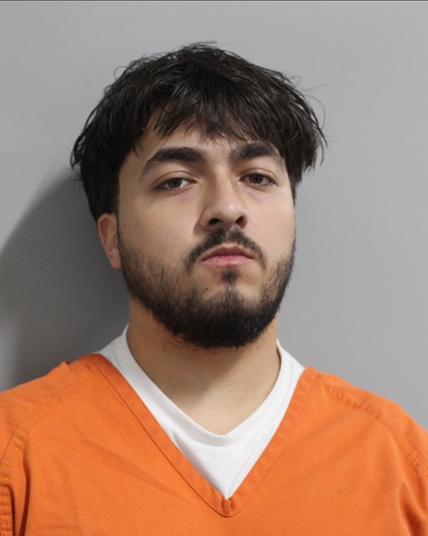 Booking photo of Nicolai Collado