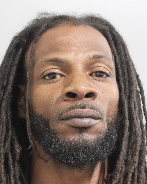 Booking photo of Terrence Hamilton