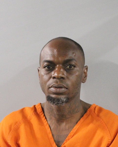 Booking photo of Michael Lewis