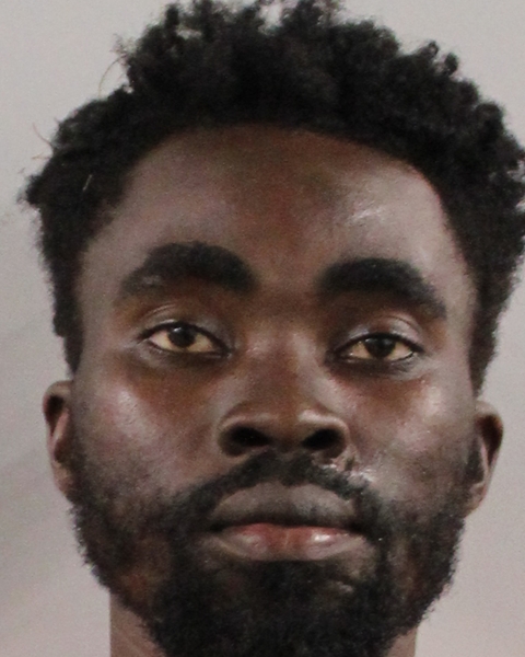 Booking photo of Regens Vilama