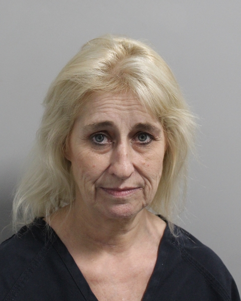 Booking photo of Pamela Chapman