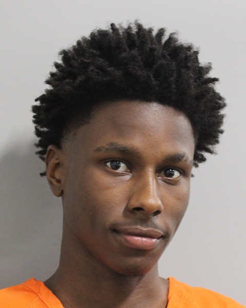 Booking photo of Drelin Johnson