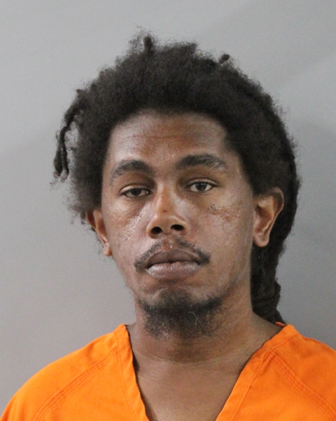 Emmanuel Jordan booking photo