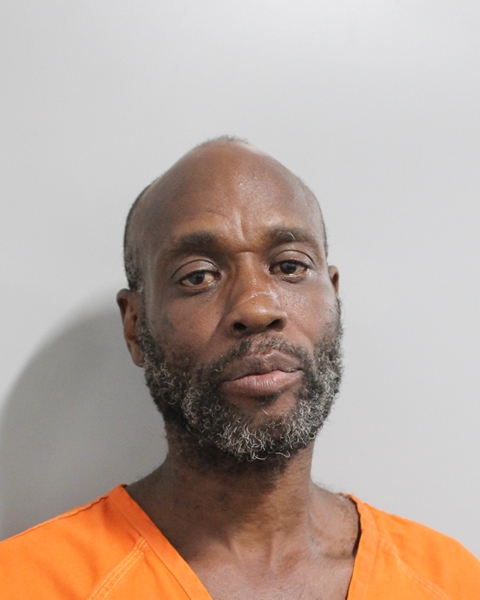 Booking photo of Robert Brown