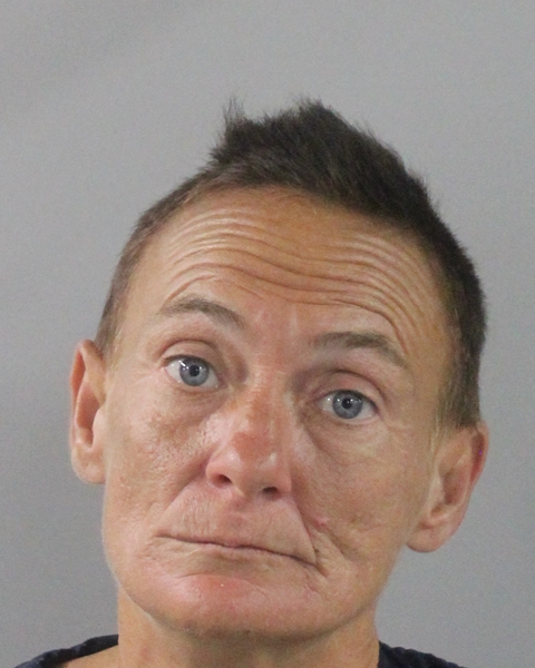 Booking photo of Erica Hornsby